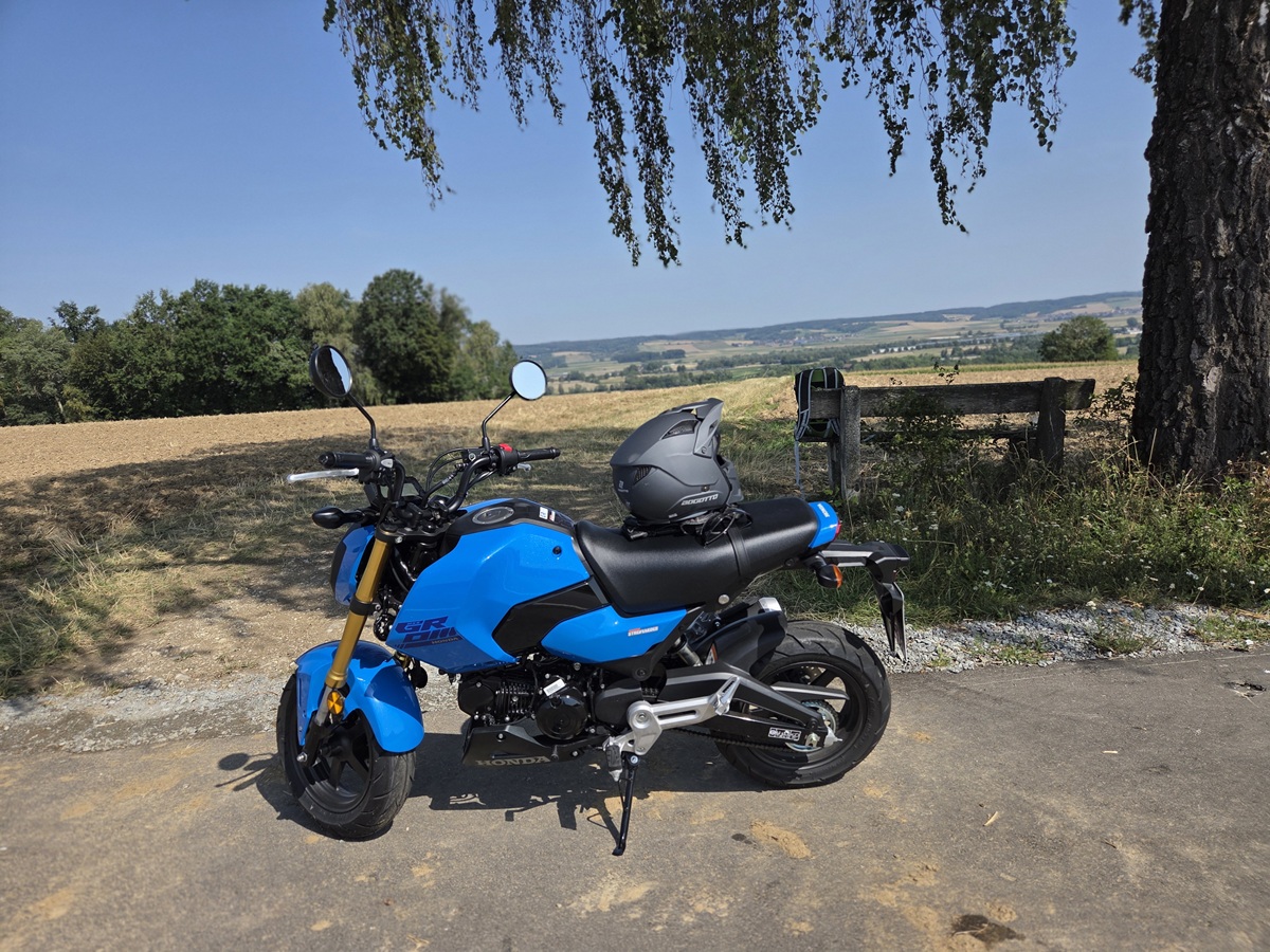 Honda MSX 125 — zdjęcie 1